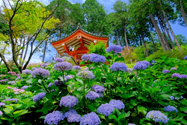 Mimurotoji Temple